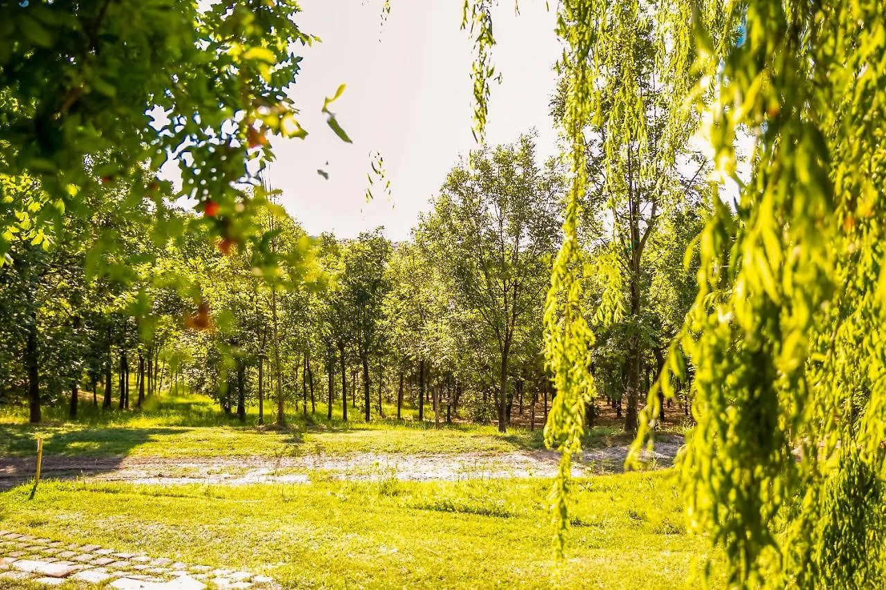 **** Hotel Il Podere Del Germano Reale Coriano Italy