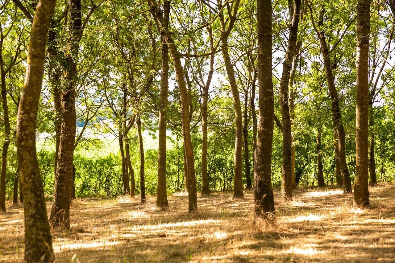 Il Podere Del Germano Reale Coriano 4*,